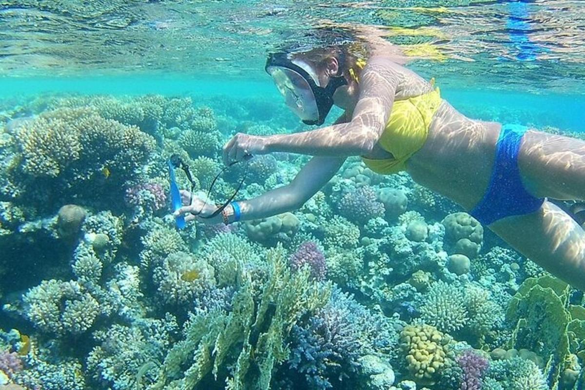 een vrouw in het water die naar een koraalrif kijkt