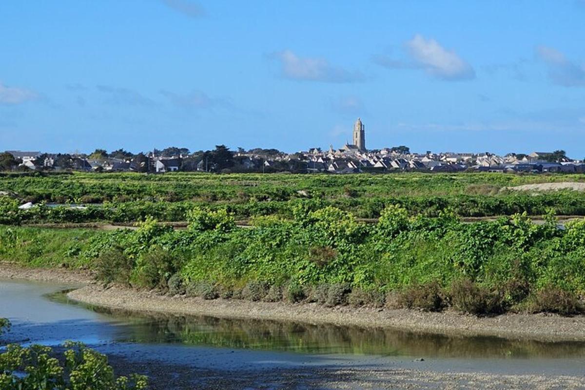 a river in a field with a town in the background