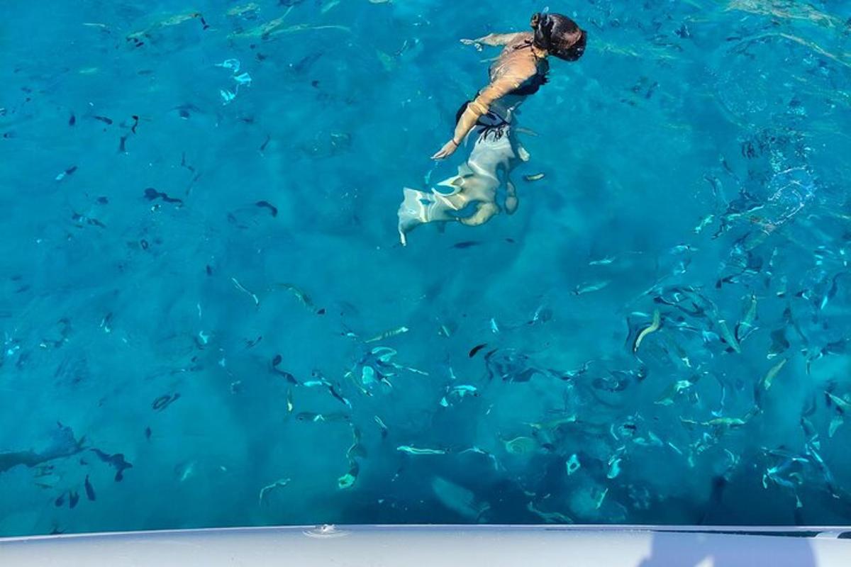 a person swimming in the water with a bunch of fish