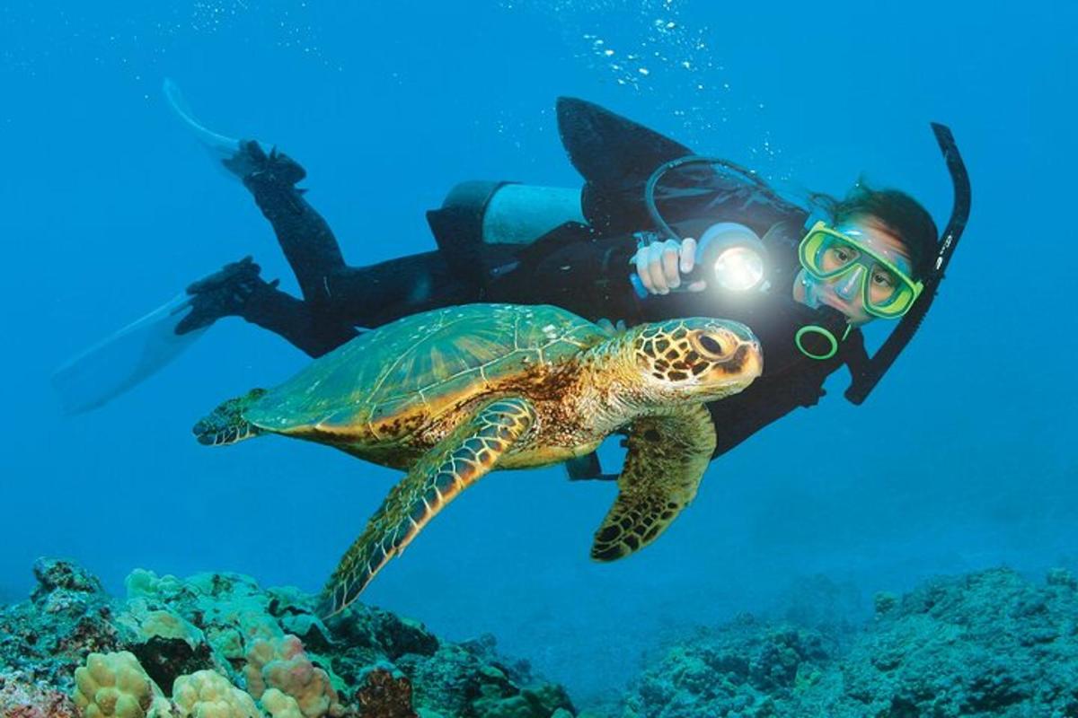 чоловік фотографує морську черепаху