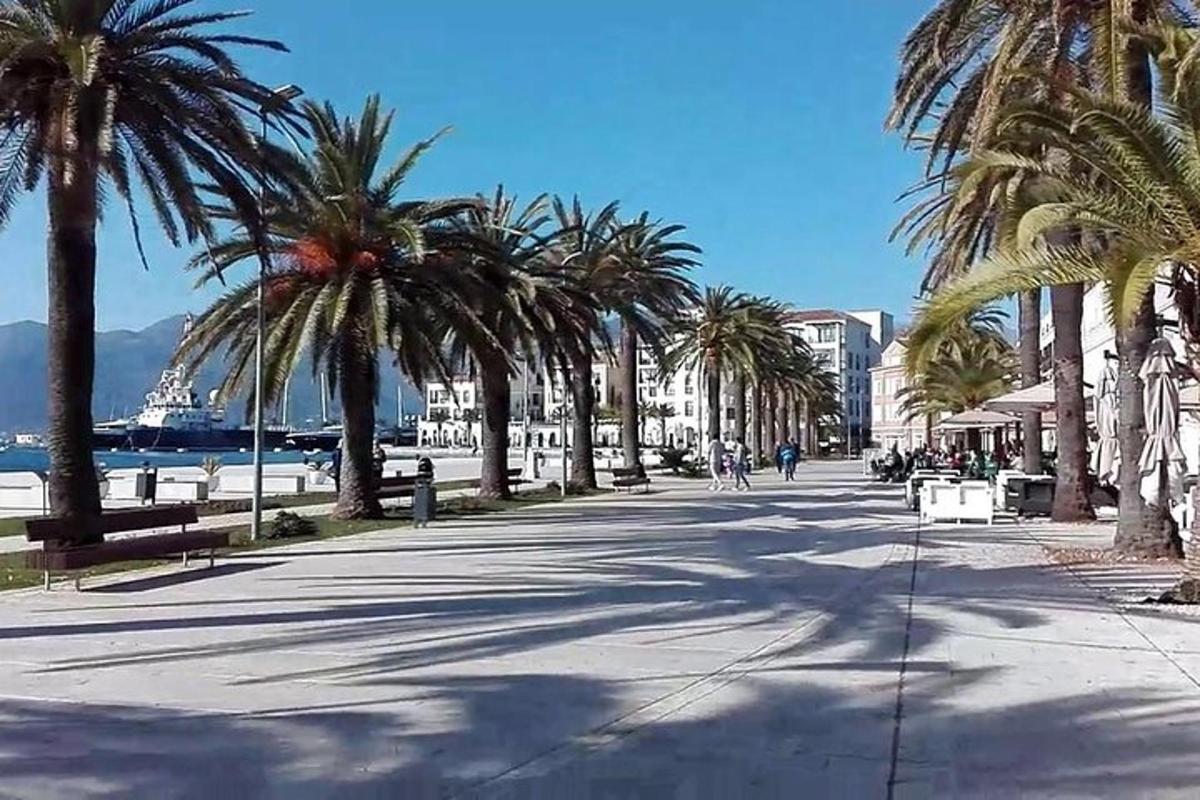 una strada con palme e l'oceano sullo sfondo