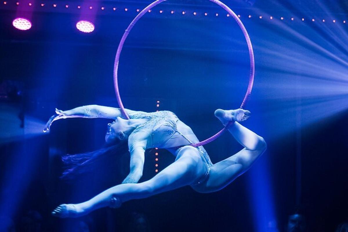 a woman on a hoop on a stage