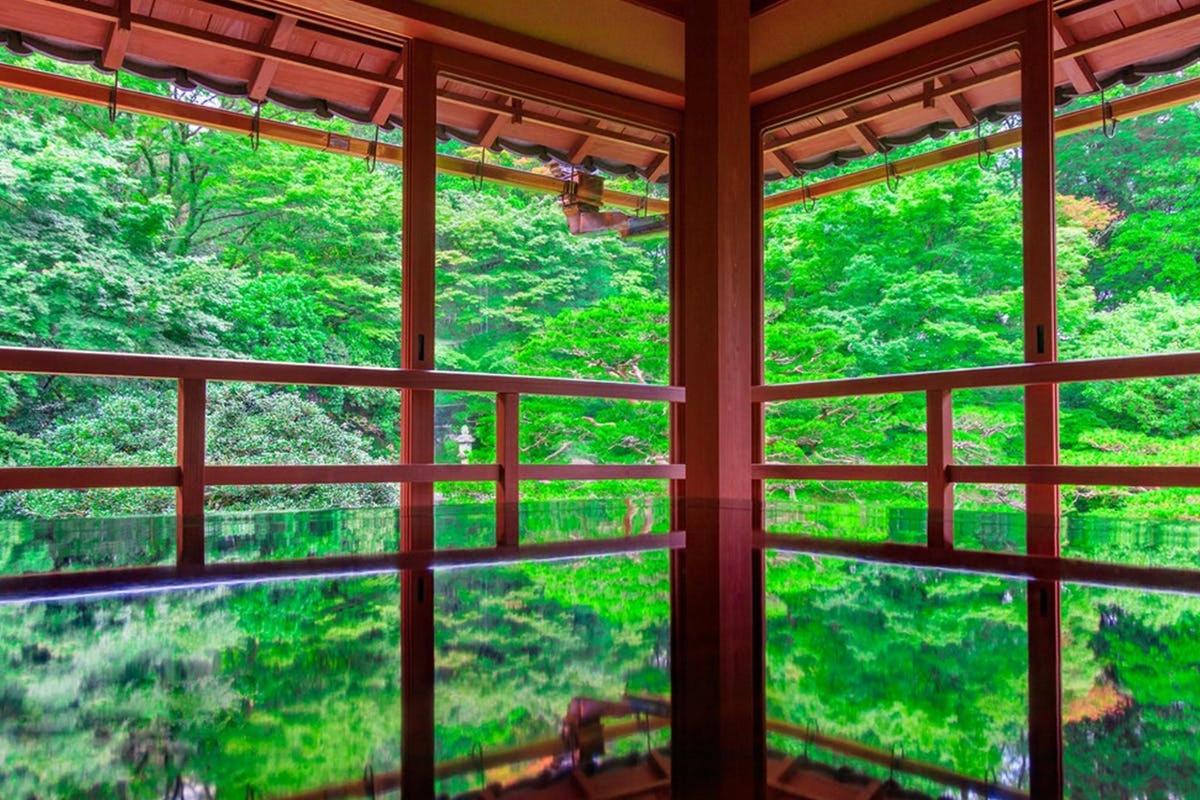 una finestra con vista su una foresta verde