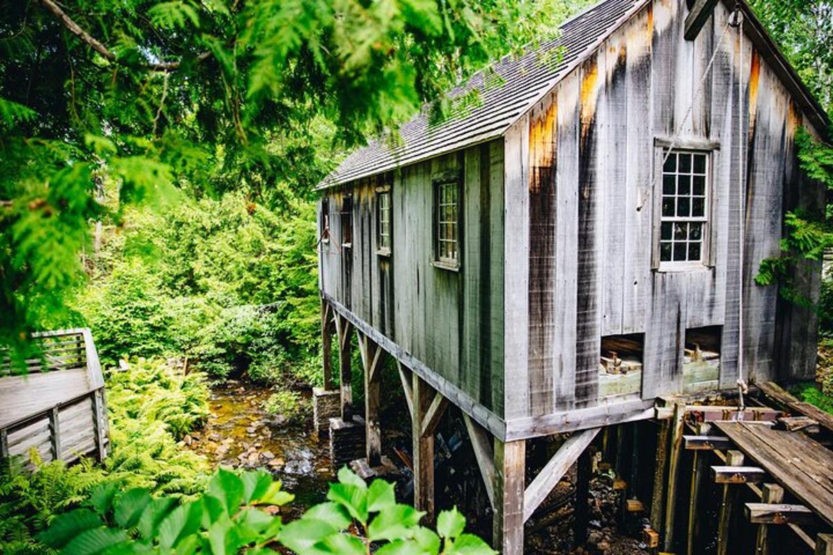 an old house in the middle of a forest
