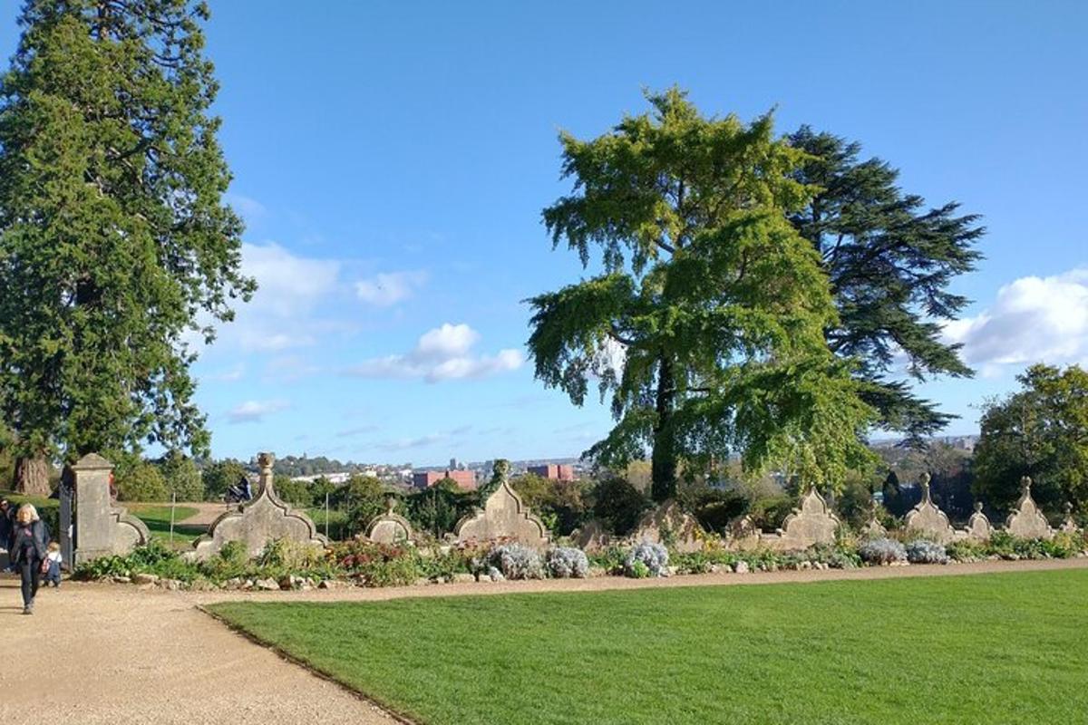 Un parque con un cementerio y un árbol y césped.