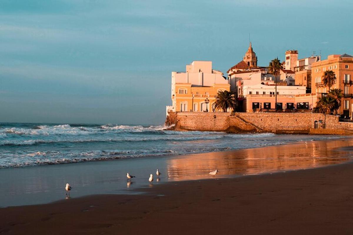 a group of birds walking on a beach near the ocean