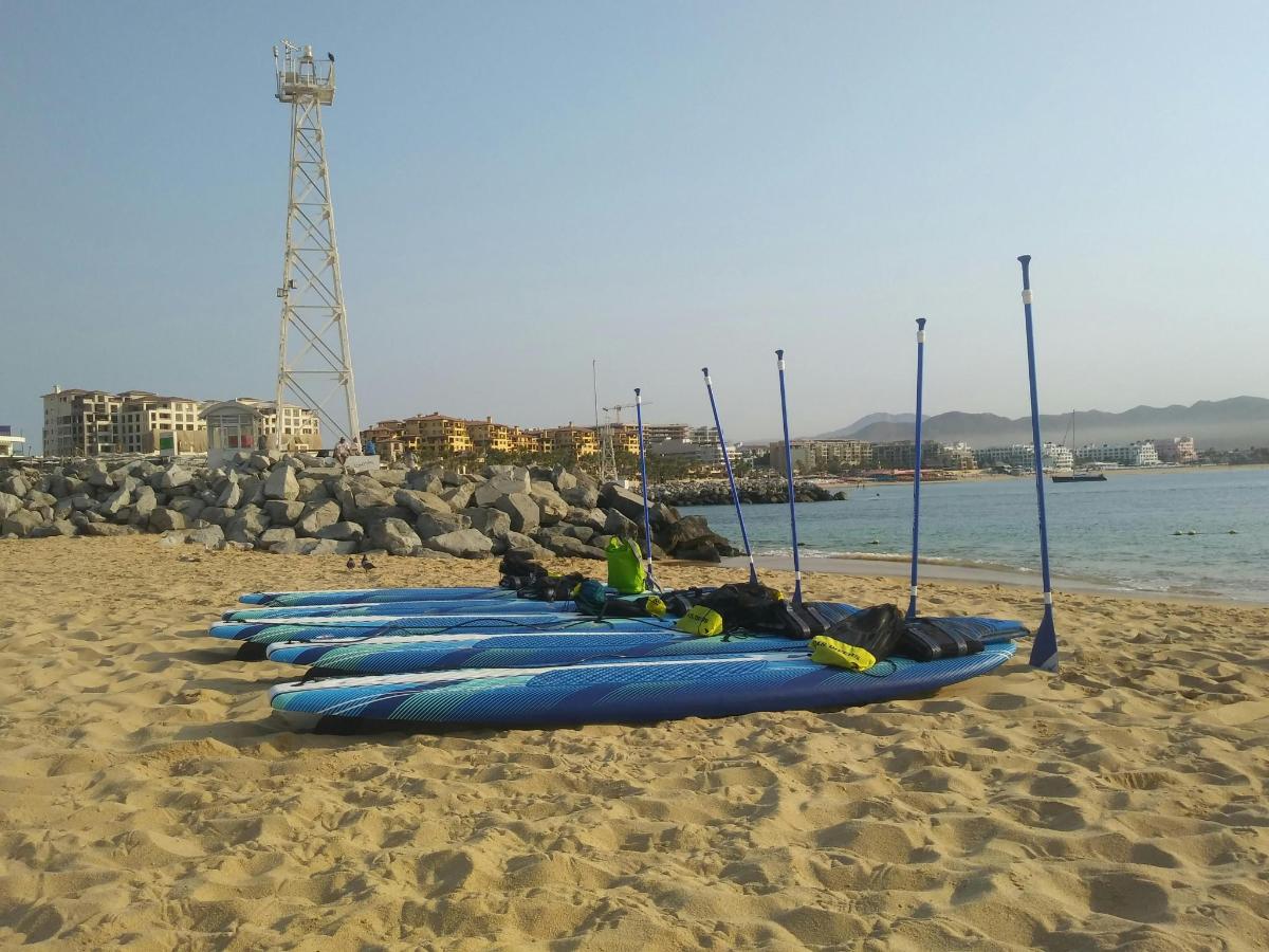 vrsta modrih kajakov, razporejenih po vrsti na plaži