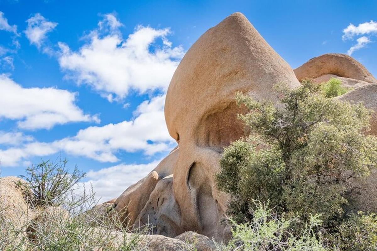 a rock formation with a tree on top of it