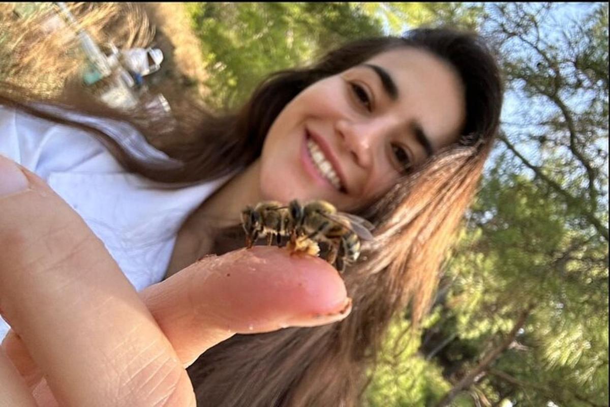 una donna che tiene un gruppo di api sulla mano