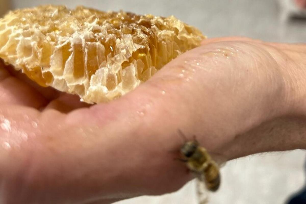 una persona che tiene in mano un pezzo di pane