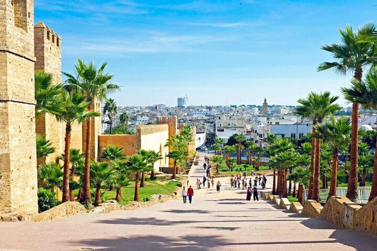 Una calle con palmeras y una ciudad al fondo