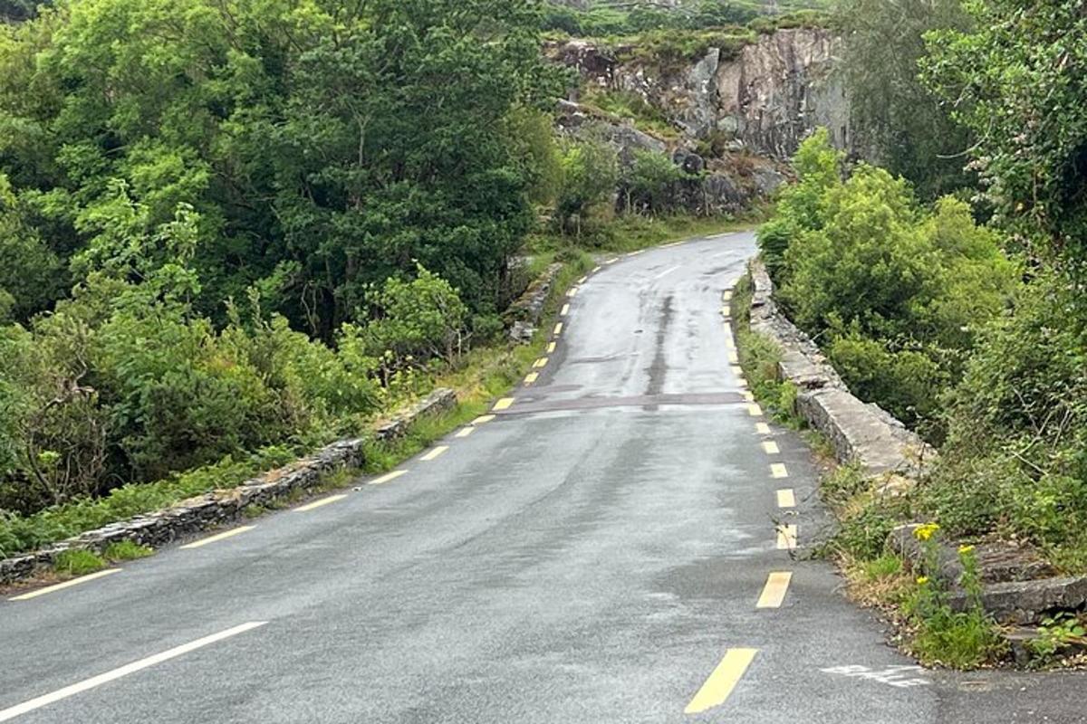 uma estrada vazia com árvores na encosta de uma montanha