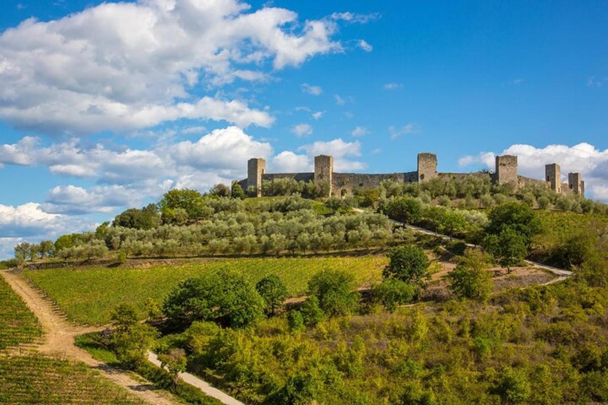 um castelo situado no topo de uma colina com árvores