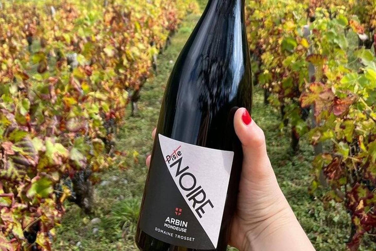 osoba držiaca fľašu vína pred vinicou