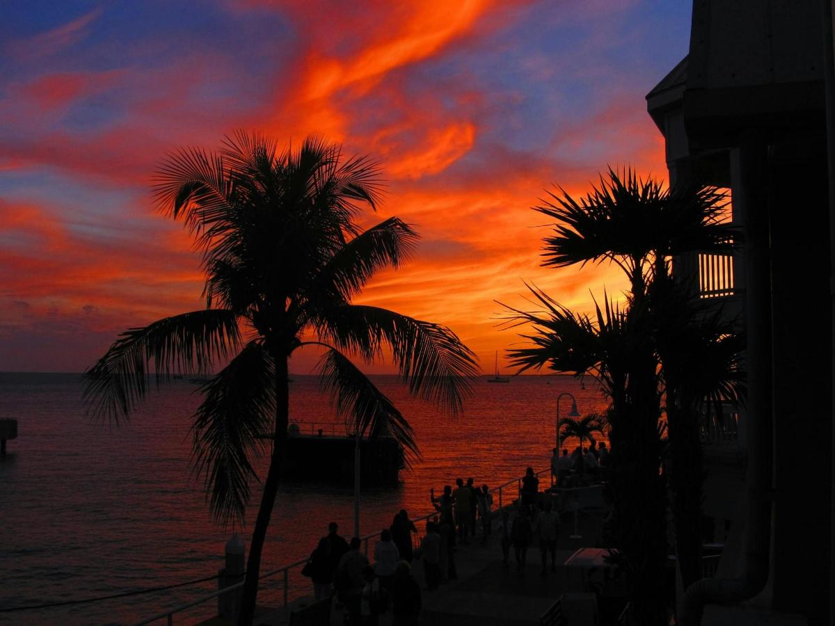 Una puesta de sol en una playa con palmeras y el océano.