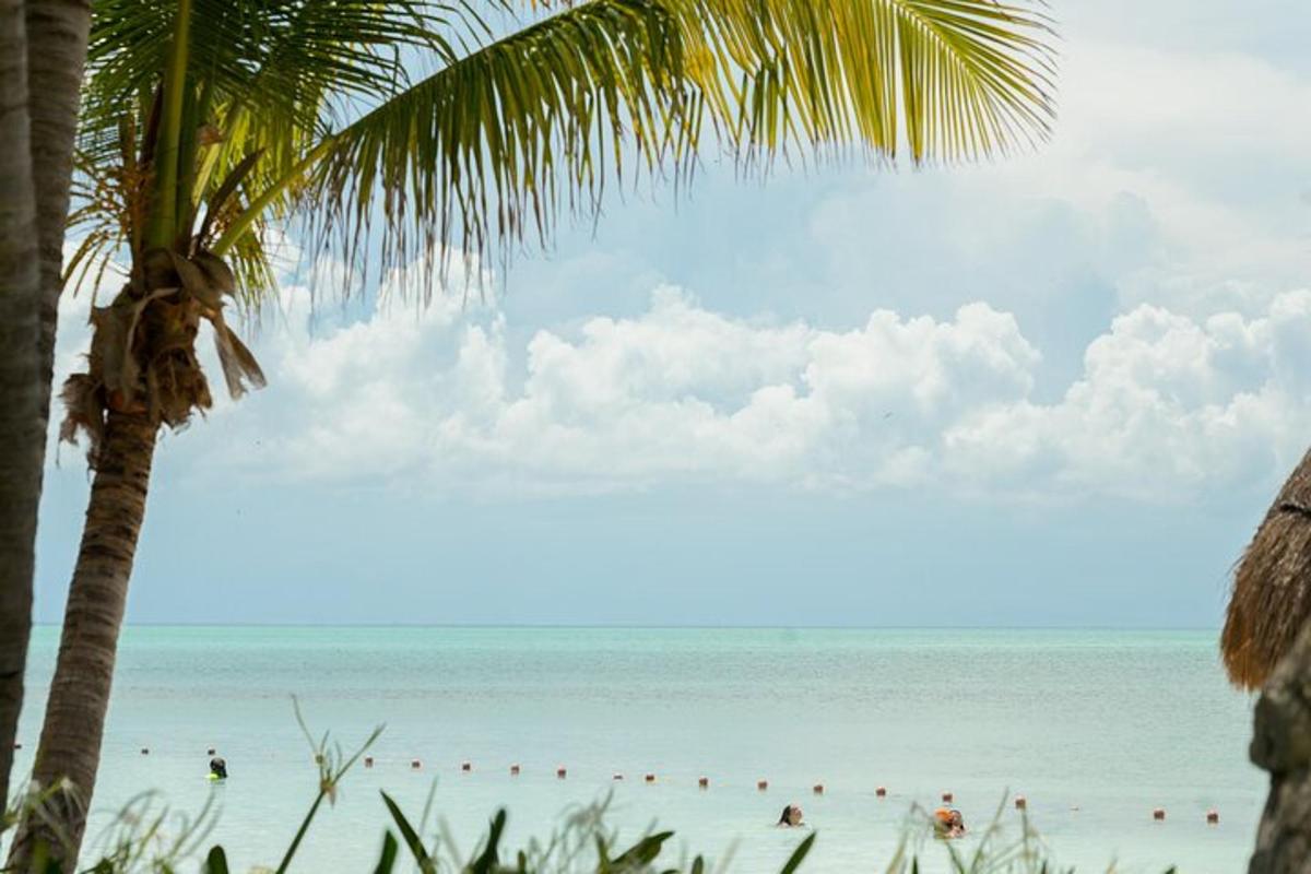a beach with a group of people swimming in the ocean