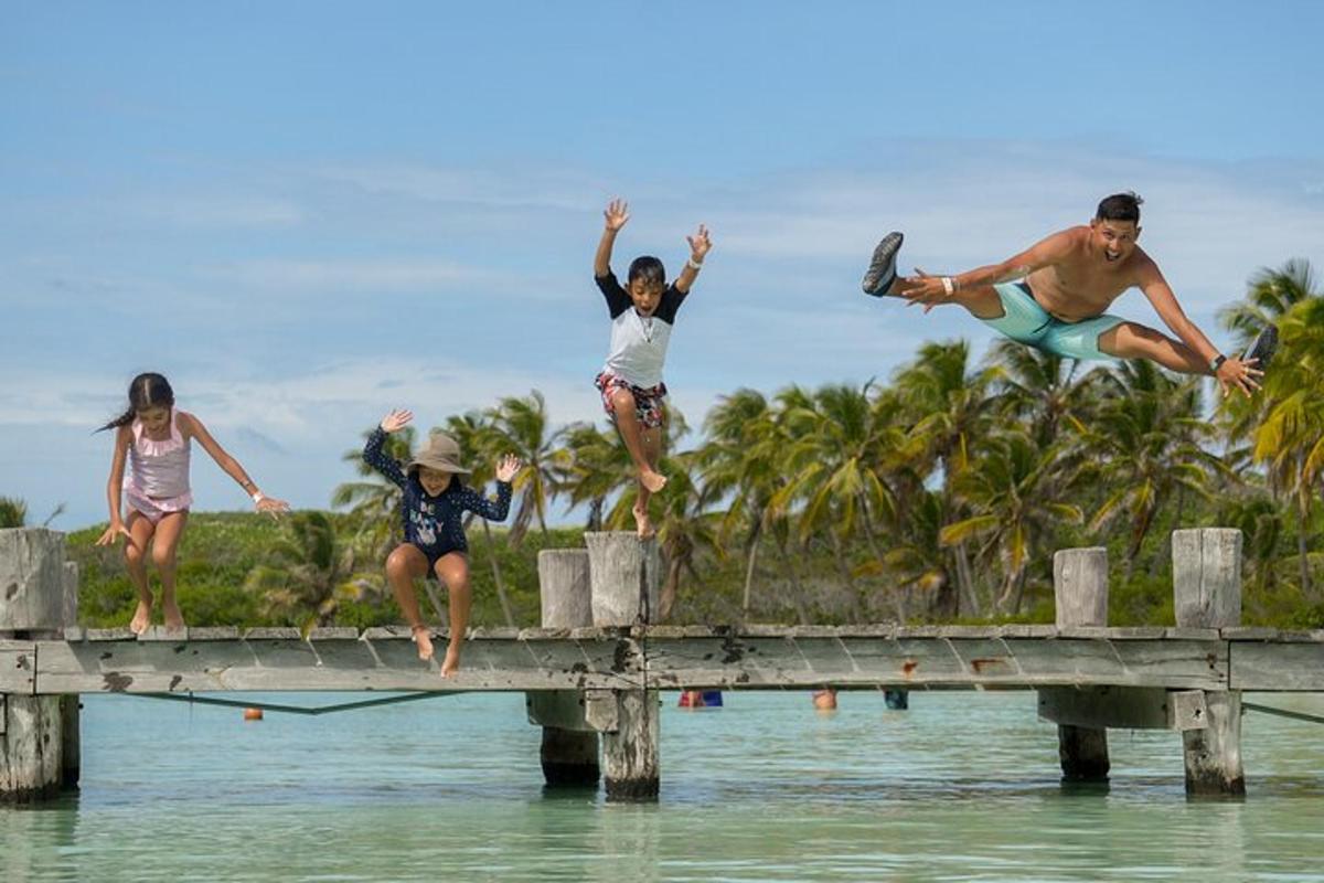 a group of people jumping off a dock into the water