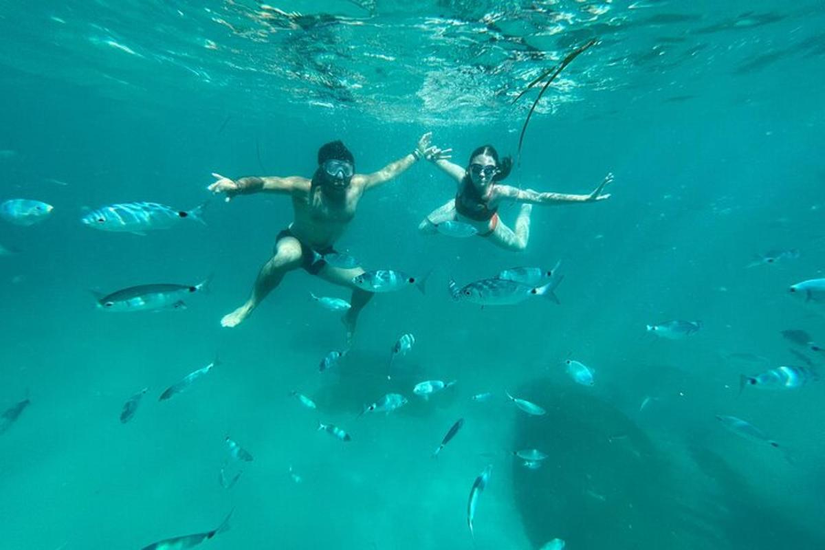 zwei Menschen schwimmen mit Fischen im Wasser