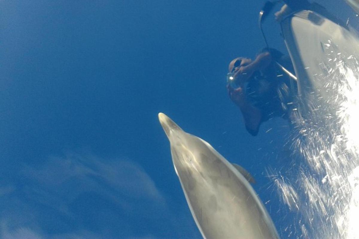 a person in a diver