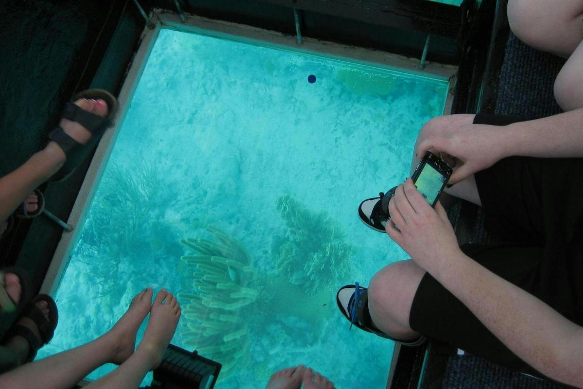 two people are looking at a diver in the water
