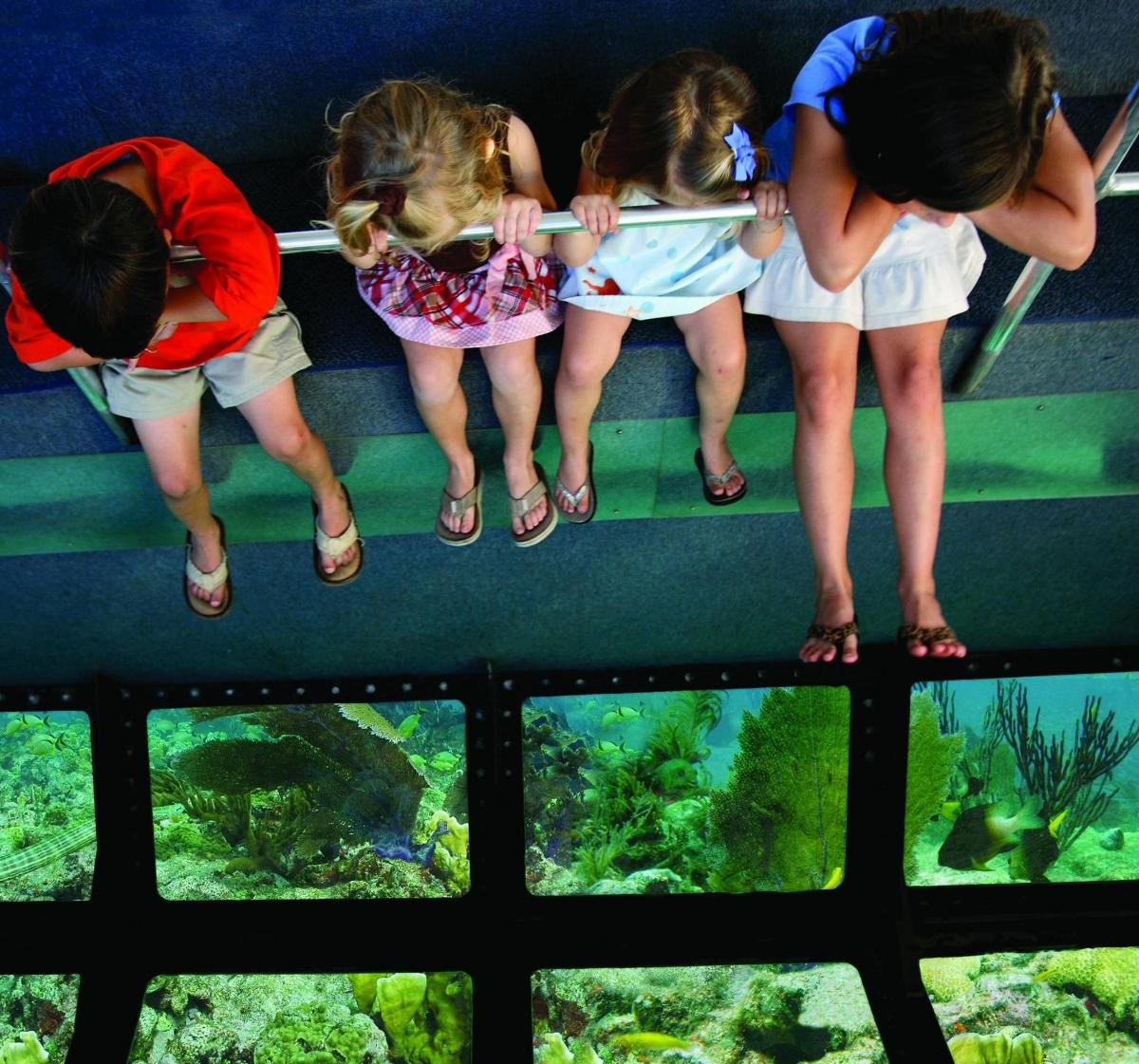 a group of children looking at fish in an aquarium