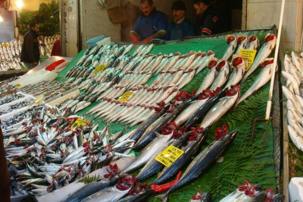 a display of many different kinds of bats on a table