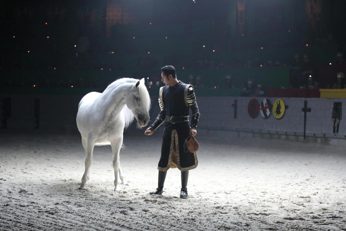 a man is standing next to a white horse