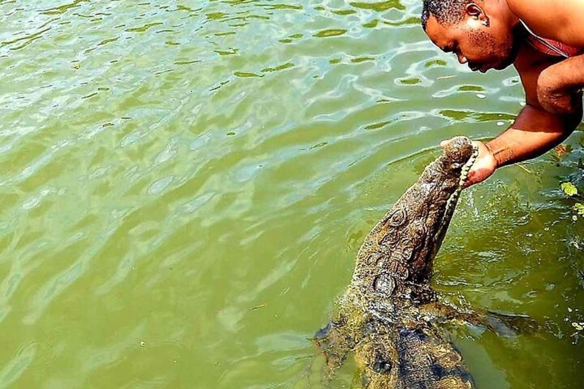 un uomo tiene in braccio un coccodrillo nell'acqua