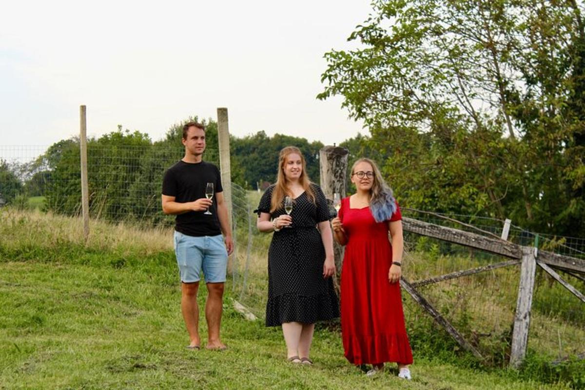 trys žmonės stovi lauke laikydami vyno taures