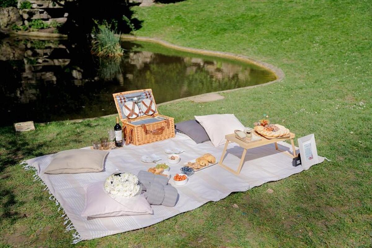 un picnic allestito su una coperta sull'erba