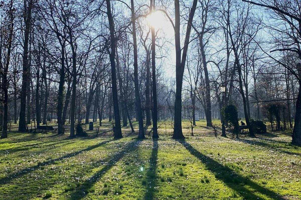 egy park fákkal és egy padon ülő személlyel