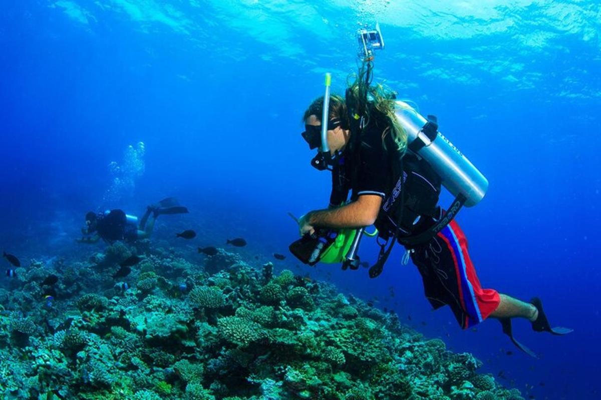osoba v oceánu fotografující útes