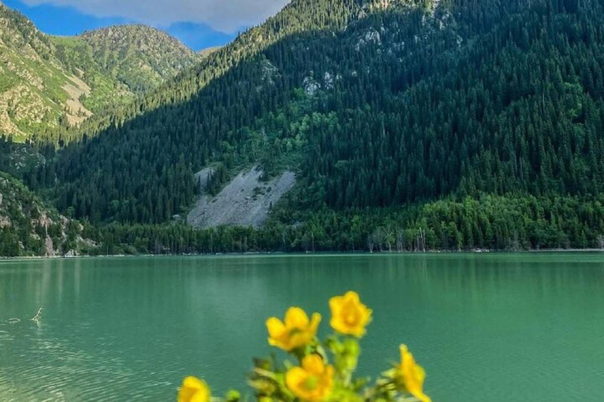 um lago verde com flores amarelas em frente a uma montanha