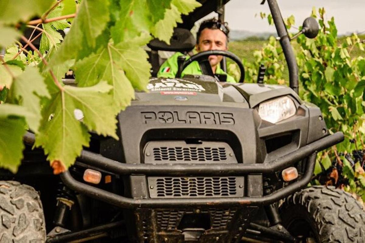 mees, kes juhib ATV-d viinamarjaistanduses