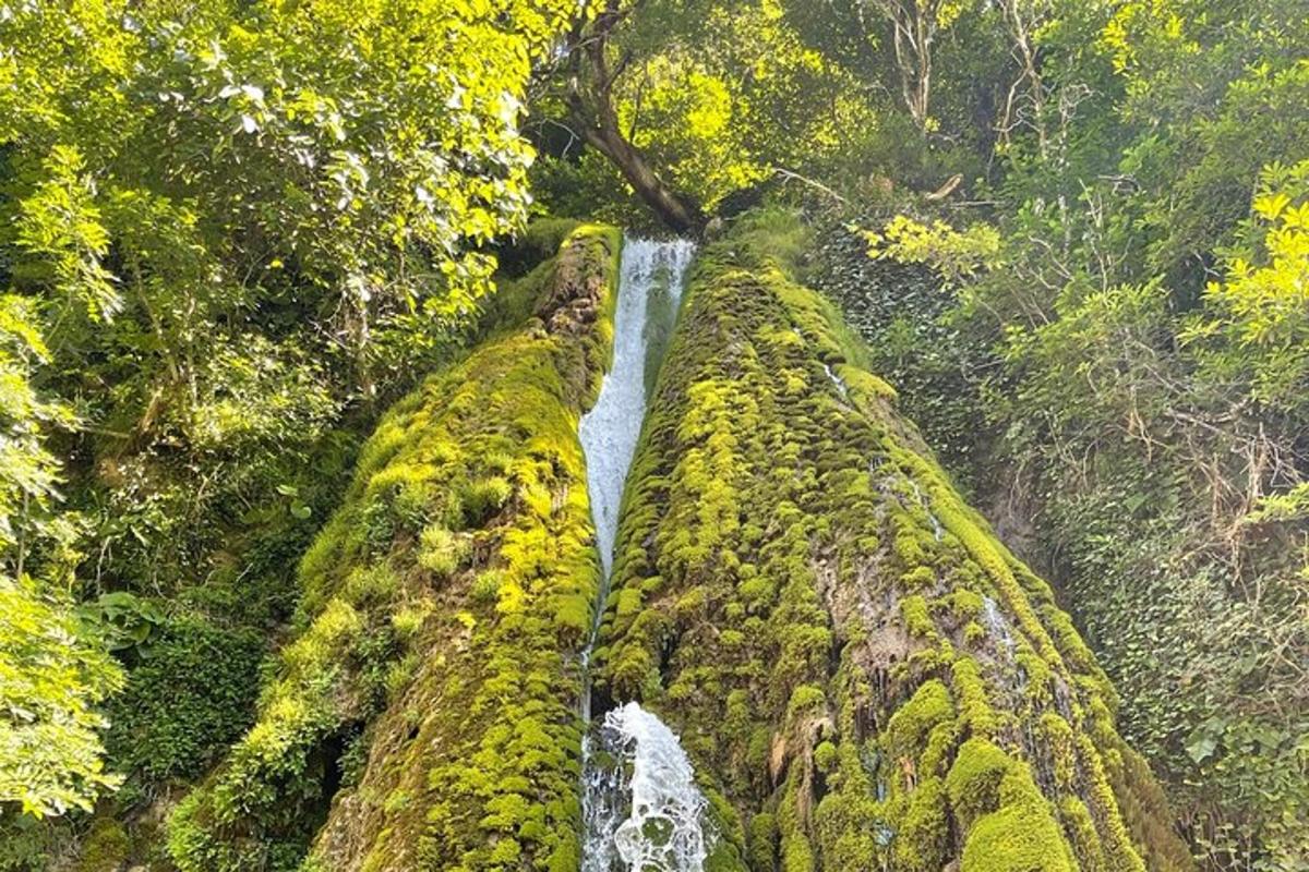 una cascata in mezzo a una foresta