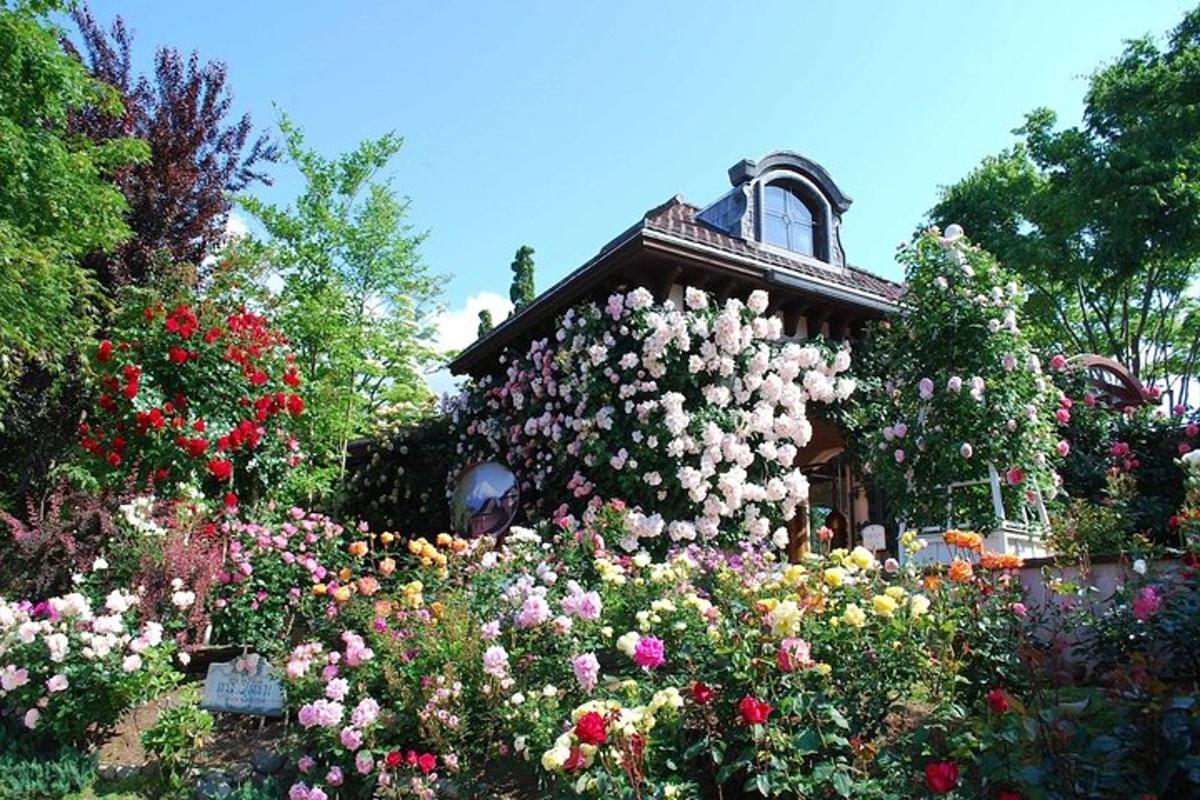 a garden of flowers in front of a house
