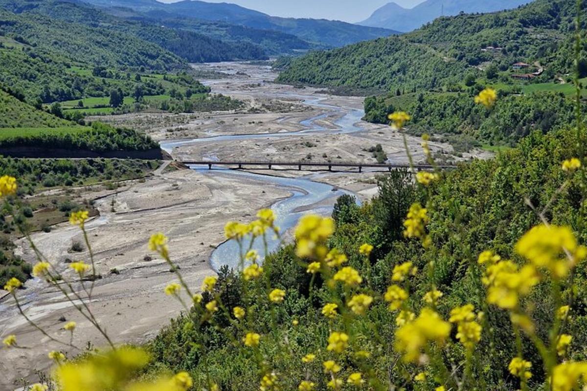 pogled na reko z mostom in rumenimi rožami