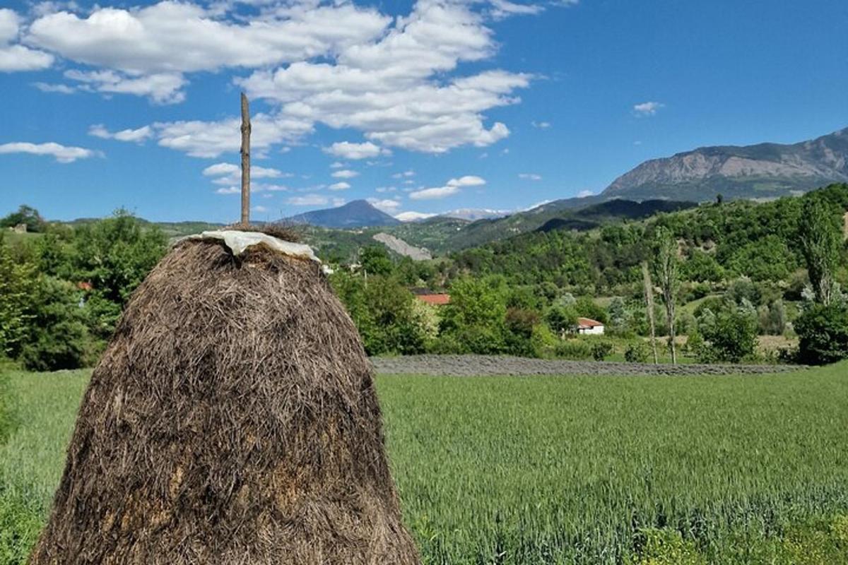 hromada sena na poli s horami v pozadí