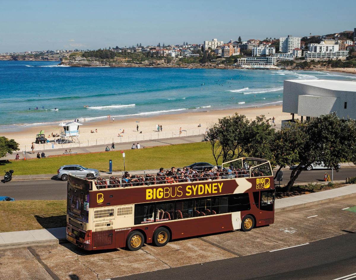 a double decker bus parked on the side of a beach