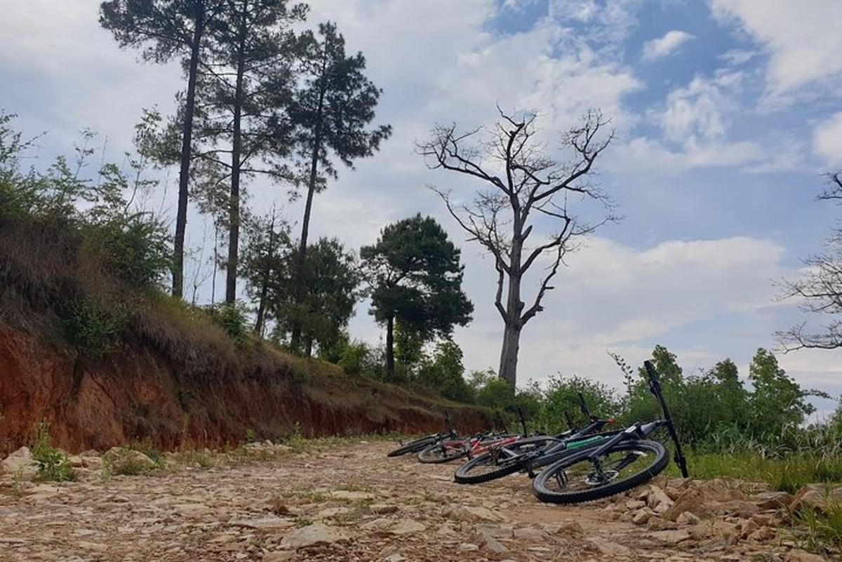 uma fileira de motocicletas estacionadas em uma estrada de terra