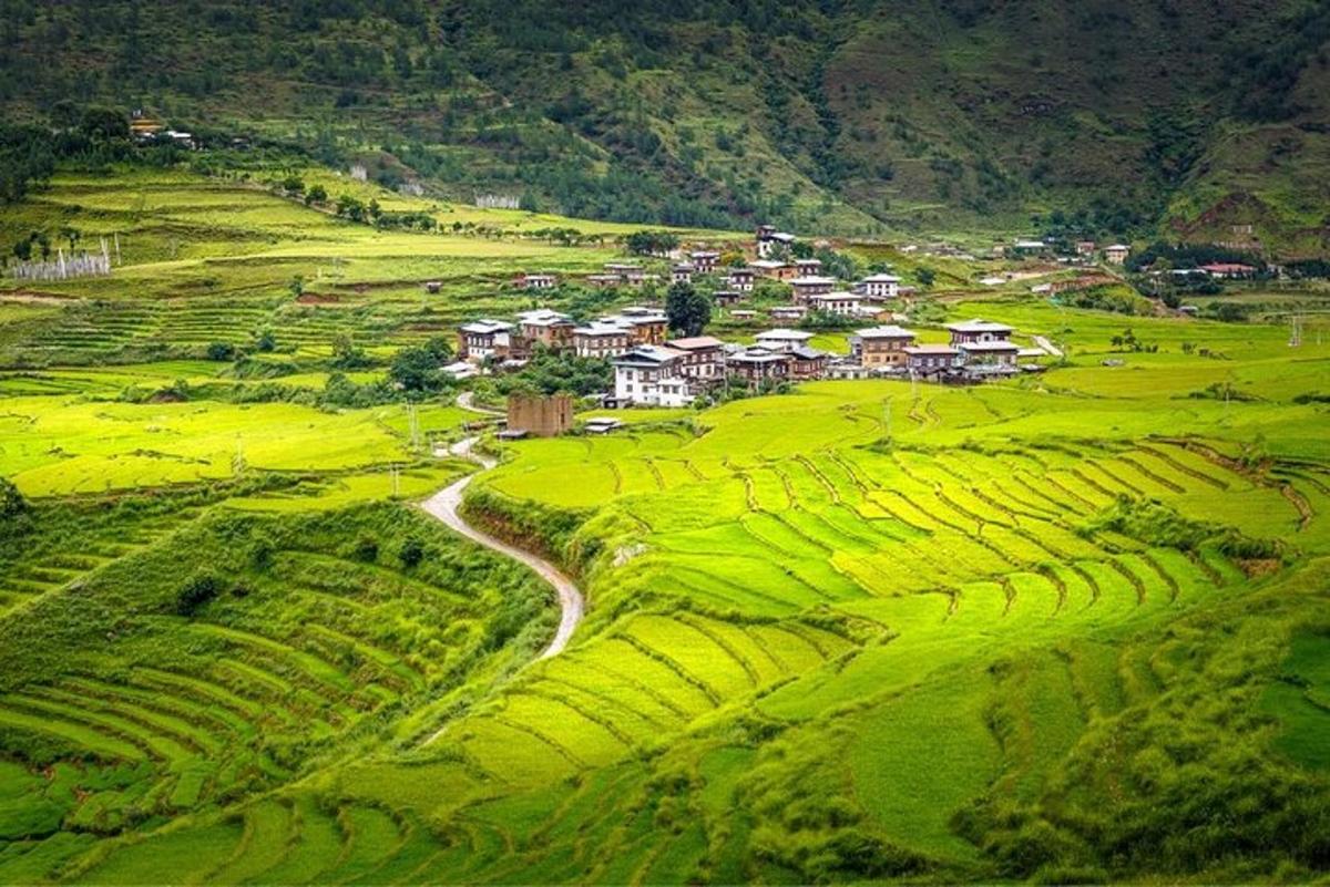 ภาพถ่ายสิ่งที่น่าสนใจภาพที่ 2