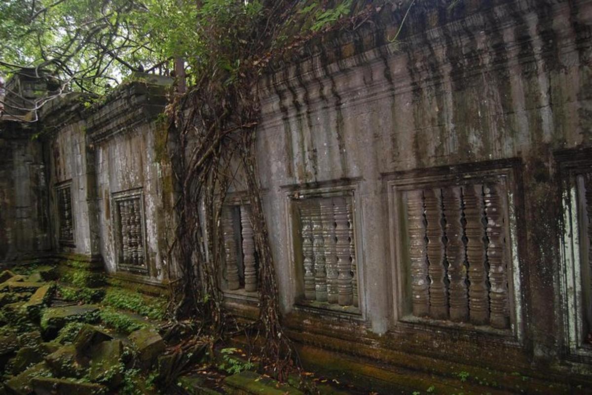 một tòa nhà đá cũ có cửa sổ và một cái cây