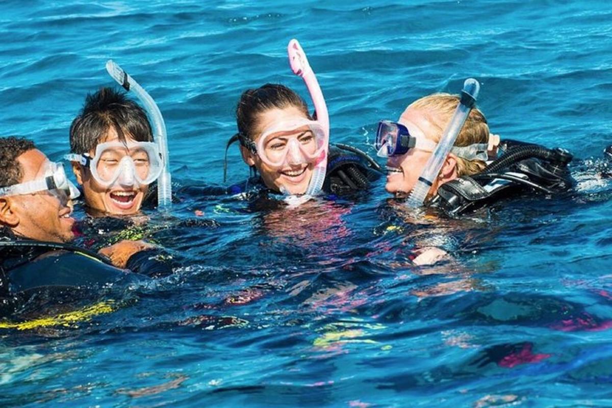 un gruppo di persone che nuotano nell'acqua