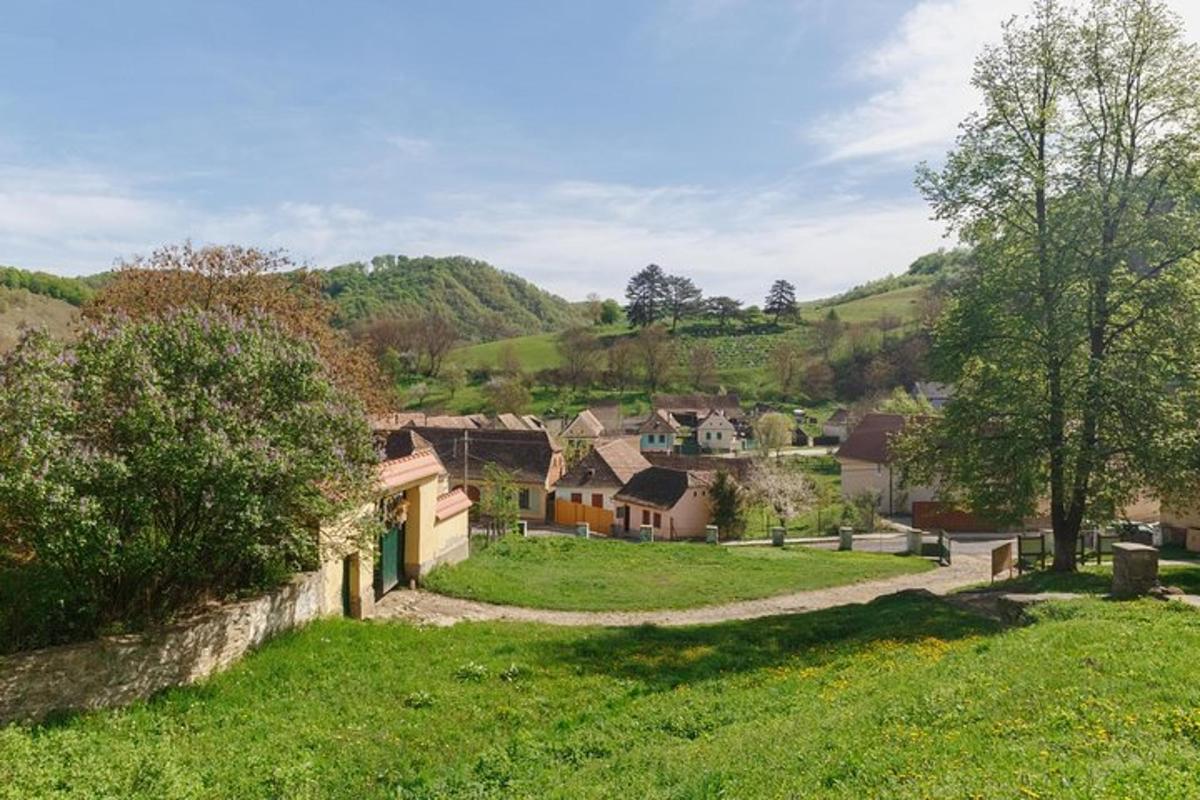 a view of a small village with hills in the background