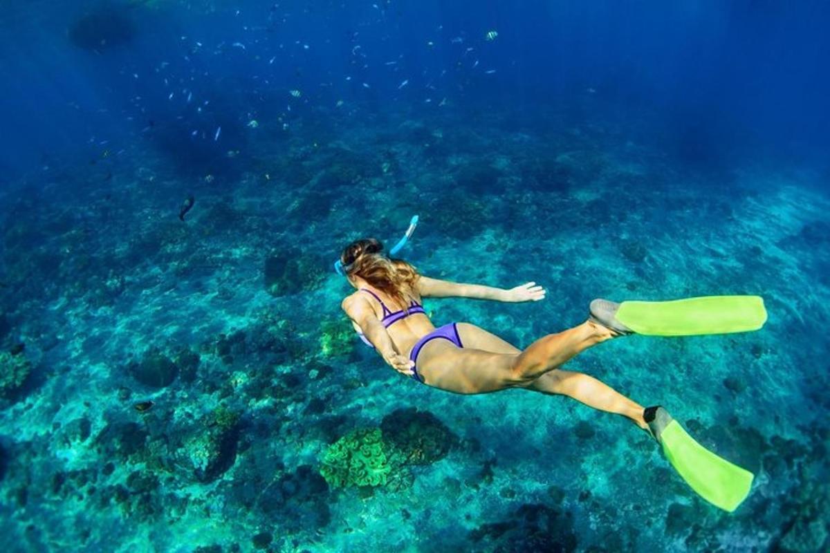 o femeie în bikini înotând în ocean