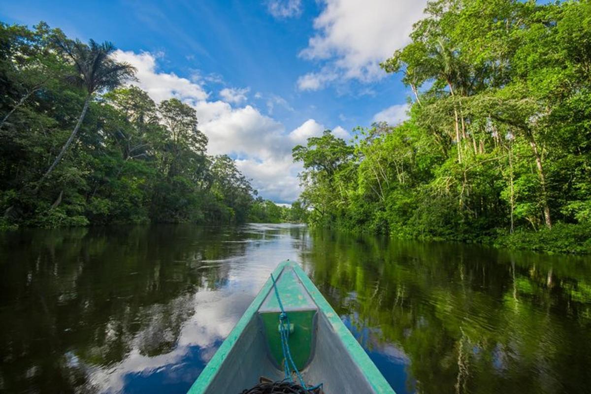 a boat on a river with trees on the sides