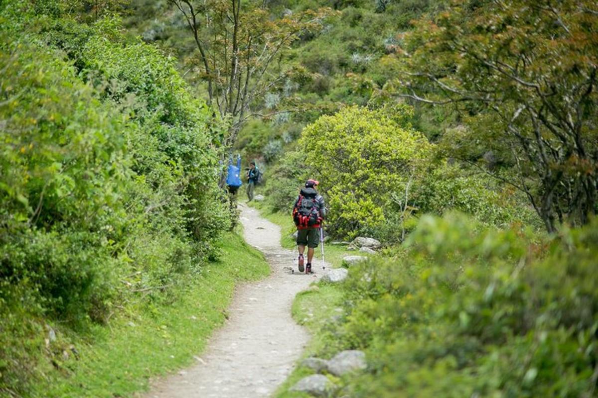 una persona caminant per un camí de terra