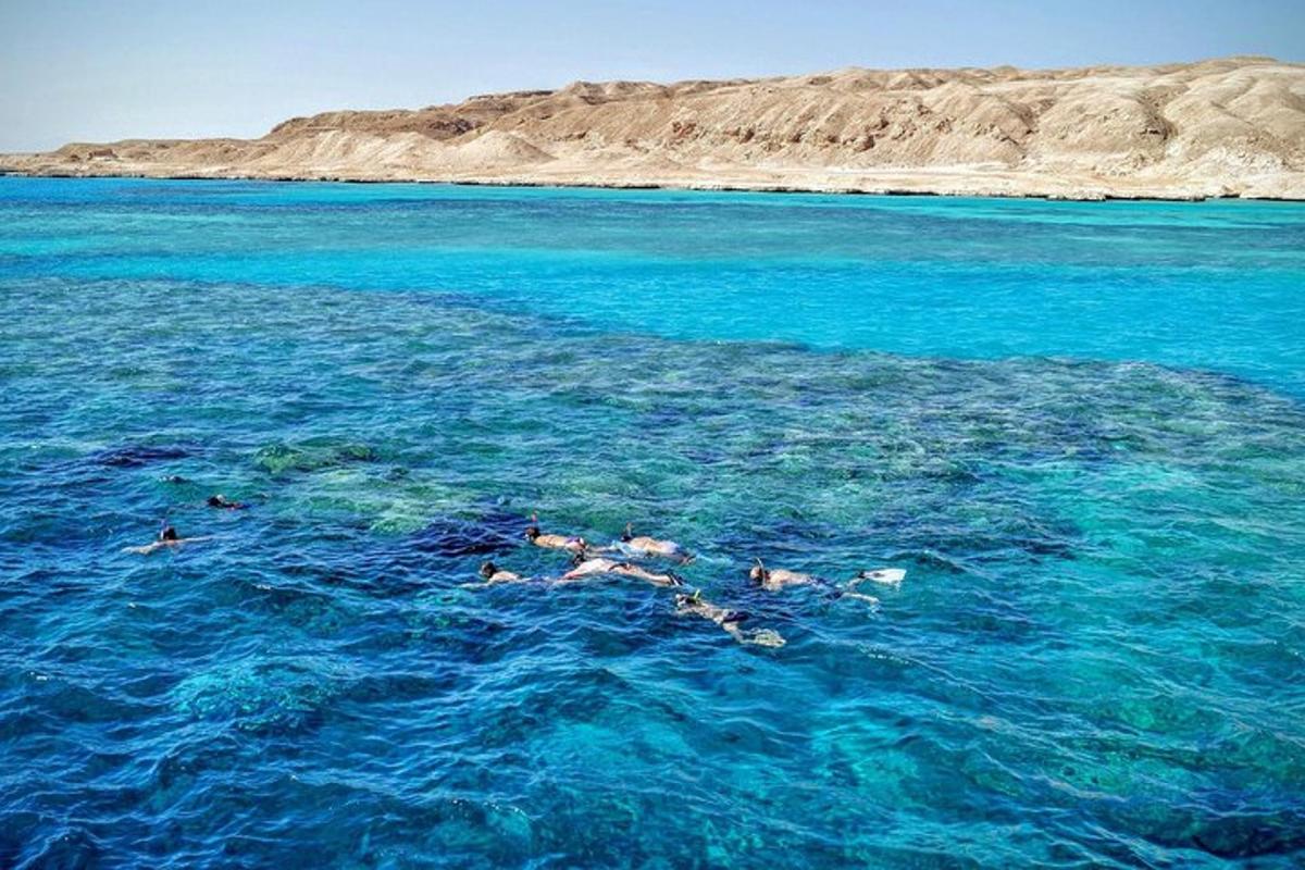 um grupo de pessoas nadando no oceano