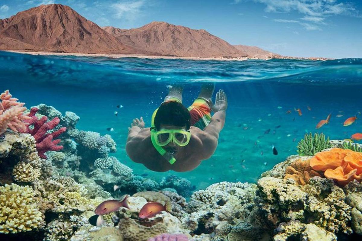um homem de óculos nadando sobre um recife de coral