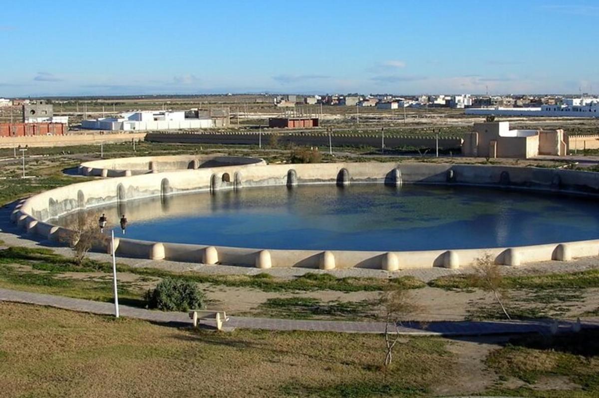 une grande mare d'eau dans un champ